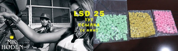 Альфа ПВП Верея