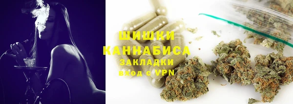 Альфа ПВП Верея