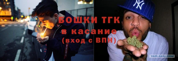 Альфа ПВП Верея