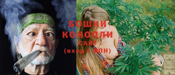 Альфа ПВП Верея