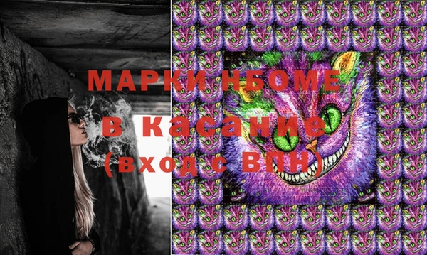 Альфа ПВП Верея