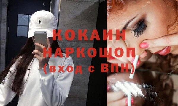 Альфа ПВП Верея