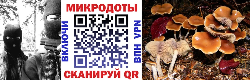 дарк нет Telegram  Мурманск  Галлюциногенные грибы ЛСД 